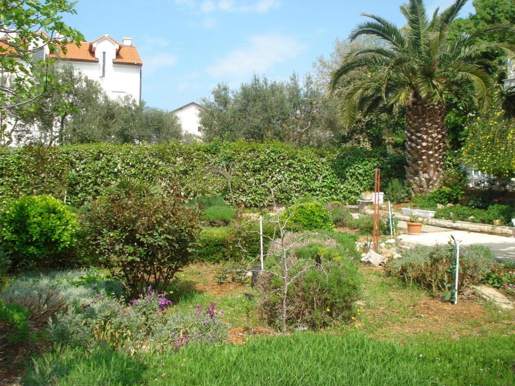 Apartments Labor Vodice Quarto foto